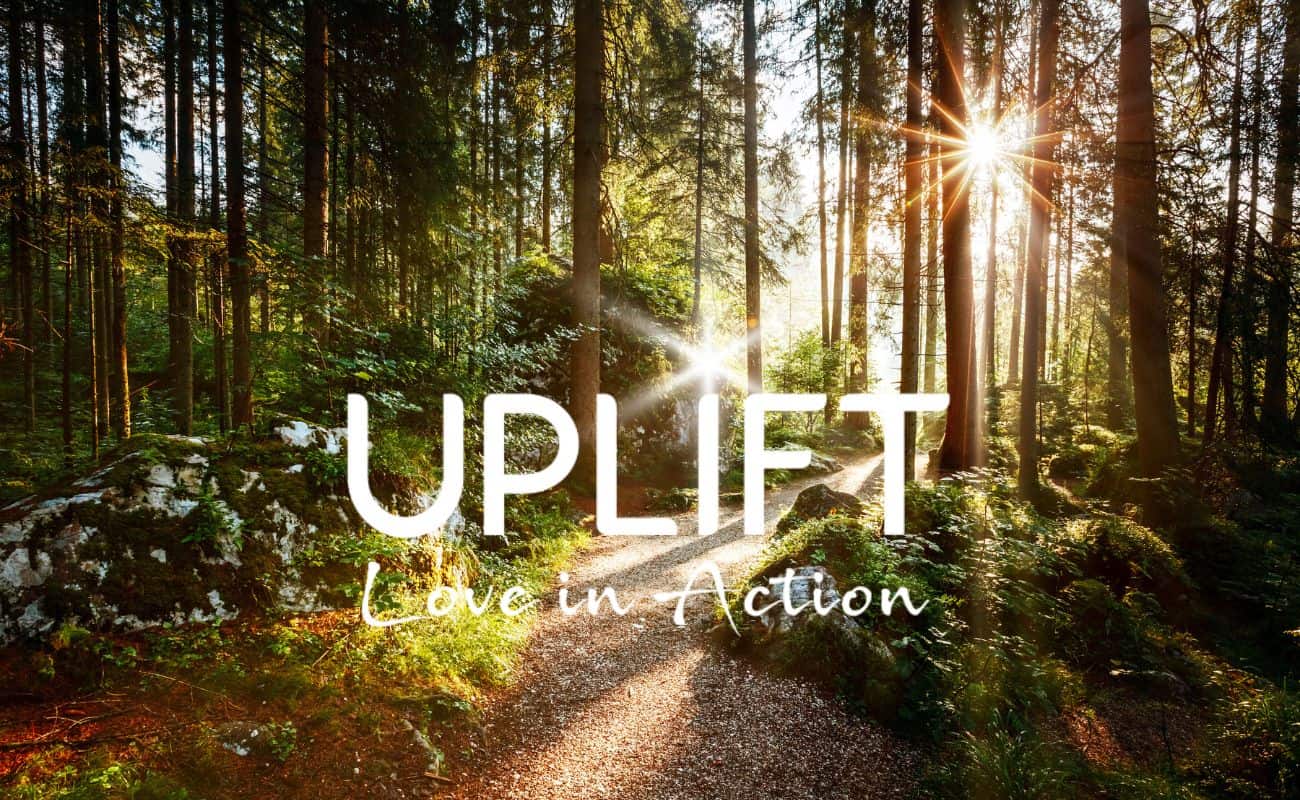 The Uplift Foundation Uplift